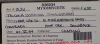 Image Associated With the Occurence